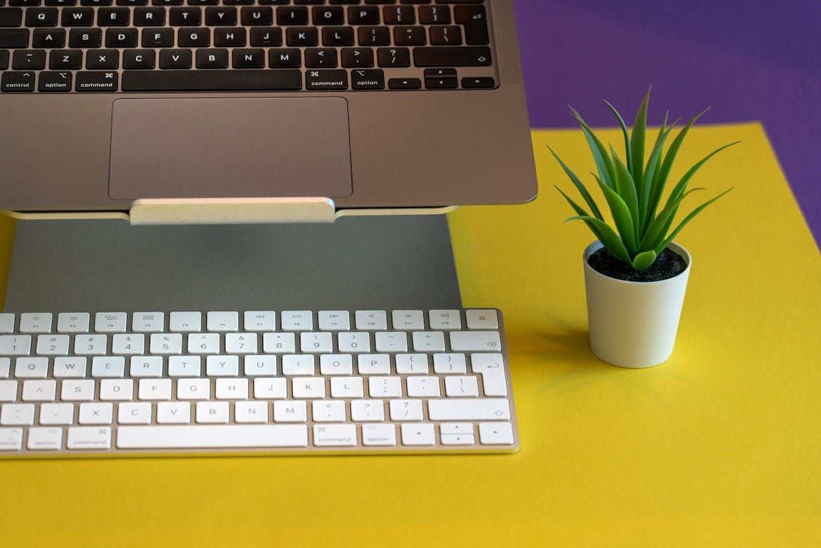 From Brick-and-Mortar to Clicks: Transforming Your Retail Business Online